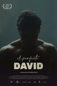 Смотреть  Идеальный Давид  