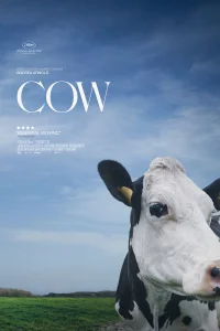 Смотреть  Корова  