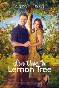 Смотреть  Любовь под лимонным деревом  