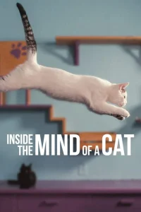 Смотреть  Внутри разума кошки  
