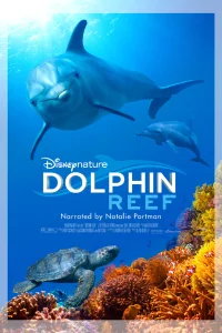  Дельфиний риф  смотреть онлайн в хорошем качестве