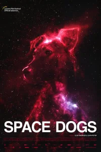 Смотреть  Космические собаки  