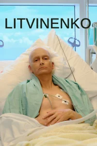 Смотреть  Литвиненко  