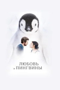  Любовь и пингвины  смотреть онлайн в хорошем качестве